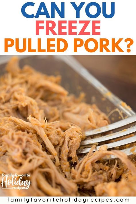 Crockpot Freezer Meals Pork Loin, Frozen Pulled Pork, Pork Roast Freezer Meal, Pulled Chicken Freezer Meal, How To Freeze Pulled Pork, Pulled Pork Freezer Meal, Shredded Pork Crockpot, Freezing Pulled Pork, Pork Freezer Meals