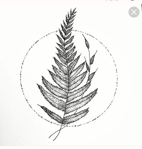 Nature Circle Tattoo, Fern And Daisy Tattoo, Small Fern Tattoos, Dainty Fern Tattoo, Fern Flower Tattoo, Fern And Flower Tattoo, White Ink Tattoos Healed, Fern Tattoo Design, Evolve Tattoo