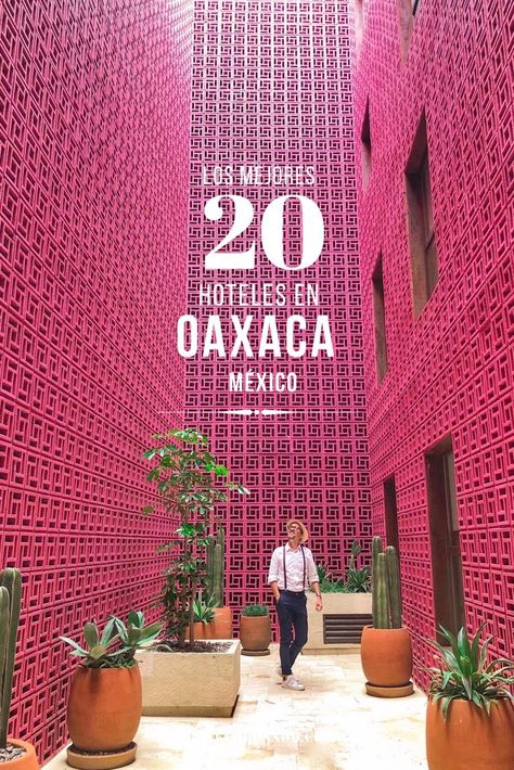 Conoce cuáles son los mejores hoteles en Oaxaca para todo tipo de presupuesto y de viajeros. Mexico Vacation Destinations, Oaxaca Mexico Travel, Mexico City Travel, Central America Travel, Mexico Vacation, Mexican Restaurant, Travel Wedding, Beautiful Places To Travel, Mexico Travel