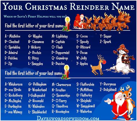 Funny Name Generator, Free Christmas Tags Printable, Socks Party, Reindeer Names, Christmas Tags Printable, Baby Reindeer, Office Christmas Party, Christmas Names, Name Games