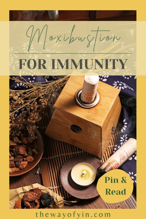 Moxibustion Therapy, Natural Medicine Cabinet, Healing Body, Holistic Doctor, Eastern Medicine, Holistic Practitioner, Complementary Medicine, Gastrointestinal Disorders, Acupuncture Points