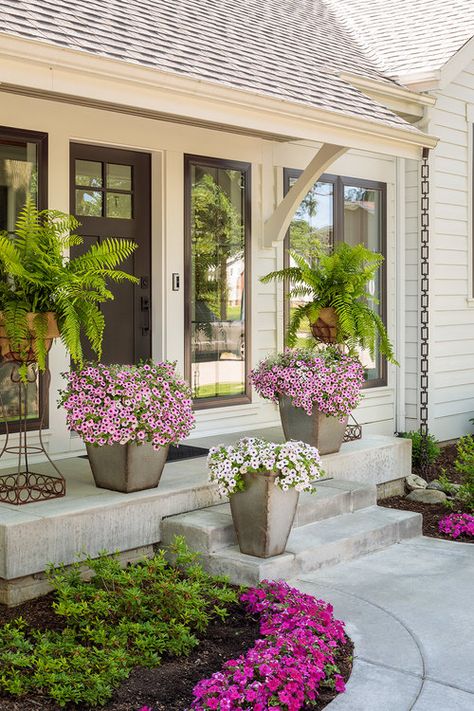 Trailing Petunias, Front Porch Flower Pots, Front Porch Flowers, Petunia Flower, Porch Flowers, Landscaping Garden, Patio Landscaping, Front Yard Garden, Container Garden