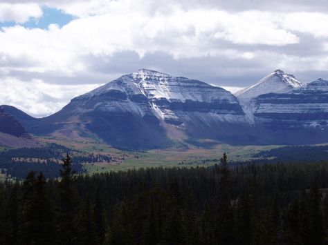 The hike to the top takes a long time, but it's worth it! Visit Utah, Utah Hikes, Utah Travel, Bryce Canyon National Park, Scenic Byway, Zion National Park, National Monuments, Rocky Mountains, Hiking Trails