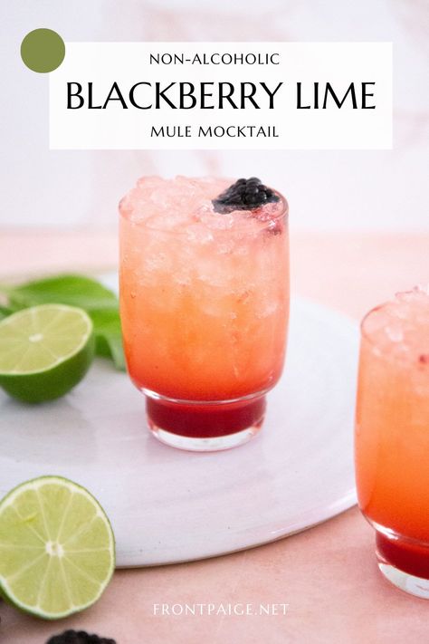 Mocktail Cocktail Recipes, Mocktail Mule Recipe, Citrus Mocktails Non Alcoholic, Mocktails Non Alcoholic With Herbs, Mocktails For Parties, Easy Spring Mocktail Recipes, Popular Mock Tails, Mock Tails For A Crowd, Spindrift Mock Tails