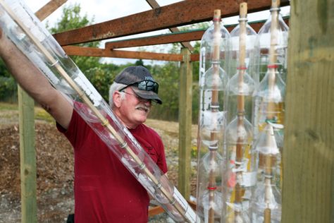 The 2-Liter Solution: Building a Pop Bottle Greenhouse Recycled Greenhouse, Bottle Greenhouse, Plastic Bottle Greenhouse, Cheap Greenhouse, Best Greenhouse, Build A Greenhouse, Indoor Greenhouse, Greenhouse Interiors, Home Greenhouse