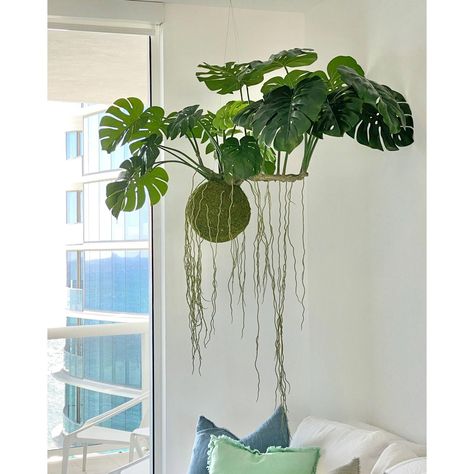 Bold patterns, vibrant colors, and an eclectic mix of décor. Hanging Monstera Plant, Hanging Kokedama, Kokedama Display, Hanging Monstera, Tillandsia Terrarium, Wall Hanging Decorations, Japanese Plants, Plant Display Ideas, Air Plants Decor