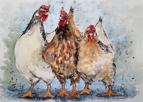 How to paint a white chicken Watercolour Chickens Hens, How To Paint Chickens, Watercolor Chickens Easy, Chicken Pictures Art, Watercolour Chicken, Painting Chickens, Watercolor Chickens, Hen Painting, Chicken Portrait