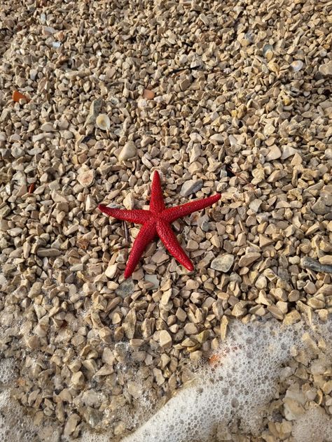 Red Beach Aesthetic, Red Summer Aesthetic, Hair In The Wind, Nyc Summer, Red Beach, Cherry Cola, Sitges, Summer Feeling, Summer Dream