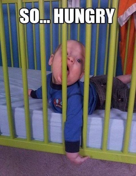 I'm going to eat my way out Funny Baby Pictures, Funny Baby Memes, Baby Memes, Gym Humor, Memes Funny, Funny Babies, Bones Funny, Baby Pictures, Funny Kids