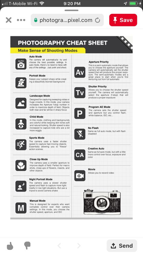 Nikon D60 Tips Camera Settings, Beginner Photography Camera, Wildlife Photography Tips, Manual Photography, Beginner Photography, Digital Photography Lessons, Photography Essentials, Photography Settings, Camera Tips