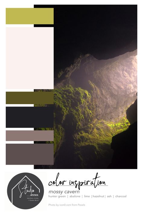 Cave Color Palette, Forest Color Scheme, Ivory Color Scheme, Color Inspiration Boards, Colour Pallets, Forest Waterfall, Interiors Inspiration, Bear Dog, White Mountain