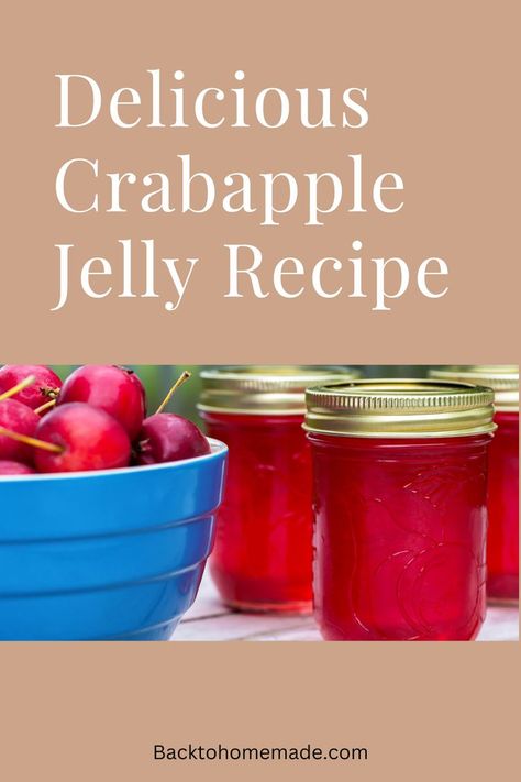 Delicious Crab Apple Jelly Recipe Crab Apple Jelly Recipe, Crabapple Jelly Recipe, Apple Jelly Recipe, Crabapple Jelly, Crab Apple Recipes, Crab Apple Jelly, Crab Apples, Canned Foods, Apple Jelly