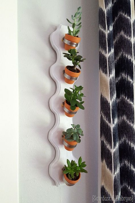 Simple vertical succulent planter using hose clamps and tiny terra cotta pots! {Sawdust and Embryos} Succulent Wall Planter, Vertical Succulent Gardens, Small Terracotta Pots, Hanging Herb Garden, Summer Diy Projects, Terra Cotta Pot Crafts, Succulent Garden Diy, Diy Flower Pots, Succulent Wall