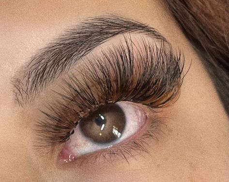 Brown Black Lash Extensions, Black And Brown Lash Extensions, Brown Eyelash Extensions, Color Eyelash Extensions, Rich Girl Bedroom, Color Eyelashes, Lash Map, Map Ideas, Lash Styles