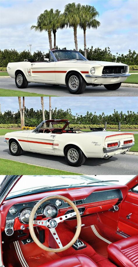 Mustang Cars 1967, 1967 Mustang Convertible, Car Travel Hacks, Mustang 1967, Mustang Interior, Ford Mustang 1967, 67 Mustang, Vintage Mustang, 1967 Mustang