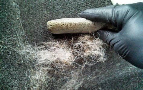 Learn how to remove pet hair out of carpet. Dog Hair Cleaning, Dog Hammock For Car, Dog Hair Removal, Hair Of The Dog, Ugly Animals, Car Fabric, Pet Hair Remover, Car Carpet, Up Dog