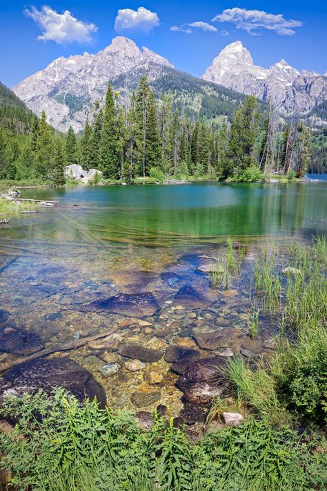 Taggart Lake, Grand Teton National Park, mountain reflections, Wyoming, offered by the original photographer. Sparkling clear mountain lake with lazy blue skies and deep greens. Beautiful mountain scenery available in fine art paper or canvas is sizes in from 8" x 10" to large triptych 3 panel 40"x90" canvas. Perfect for a variety of decor situations, including living, bedroom, dining, game room and office. Acrylic gloss gives optical depth to the image and creates a stunning view for your walls Mountain Scenery Photography, Taggart Lake, Lake Images, Wyoming Landscape, Wyoming Mountains, Montana Landscape, Lake Reflection, Mountain Landscape Photography, Reflection Photos