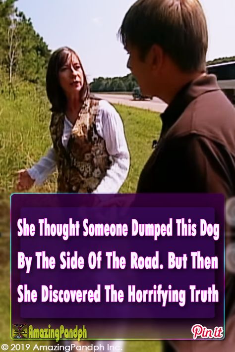 I knew dogs were loyal, but this...? I have no words for what this dog did #dogs #straydog #road #loyal #rescue #story All About Steve, Hasselback Chicken, Dog Rescue Stories, Animal Rescue Stories, I Have No Words, Dog Waiting, Poor Dog, Military Dogs, Loyal Dogs