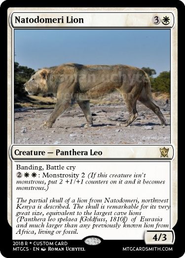 Natodomeri Lion by Aventador | MTG Cardsmith Panthera Leo Spelaea, Panthera Leo, Battle Cry, Cave Paintings, The Skull, A Lion, Wild Cats, Kenya, Fossil