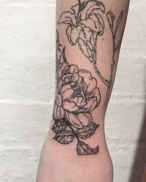 Gap Filler Tattoo Black And Grey, Personal Tattoos, Gap Filler Tattoo, Tattoo Black And Grey, Filler Tattoo, Melbourne Tattoo, Tattoo Filler, Botanical Tattoo, Art Attack