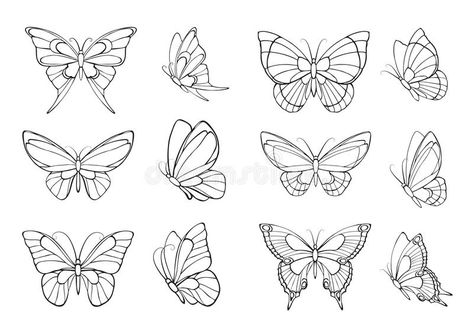 Set of hand drawn butterflies. Set of twelve black outlines of butterflies on a #Sponsored , #sponsored, #sponsored, #hand, #black, #outlines, #drawn Drawn Butterflies, Lotusblume Tattoo, Butterfly Art Drawing, Pola Tato, Simple Butterfly, Cowgirl Art, 강아지 그림, Butterfly Tattoo Designs, Symbol Tattoos