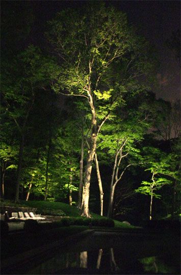 This is amazing Diy Outdoor Lighting, Landscape Lighting Design, Outdoor Trees, Outdoor Landscape Lighting, Outdoor Lighting Landscape, Design Installation, Backyard Lighting, Sprinklers, Patio Lighting