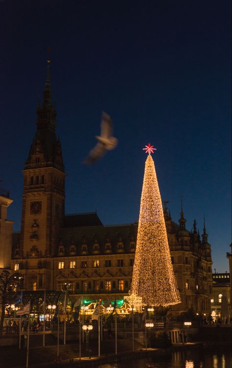 Christmas - Hamburg Winter Aesthetic, Christmas Aesthetic, Berlin, Vision Board, Germany, Christmas, Quick Saves, Hamburg