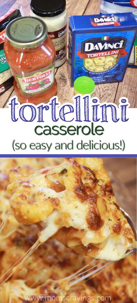 tortellini, cheese, pink sauce ingredients for baked tortellini casserole Tortellini Bake With Ground Beef, Ground Beef Tortellini Recipes, Easy Baked Tortellini, Dinner With Pasta, Dinner Recipe Pasta, Baked Tortellini Casserole, Tortellini Casserole, Baked Pasta Casserole, Casserole With Sausage