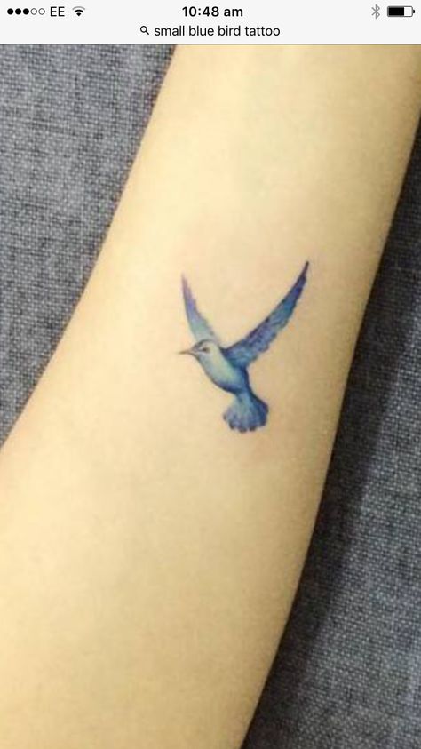 Blue bird Blue Bird Tattoo, Blue Jay Tattoo, Bird Tattoo Ideas, Bird Tattoo Design, Jay Tattoo, White Bird Tattoos, Small Bird Tattoos, Tiny Bird Tattoos, Bluebird Tattoo