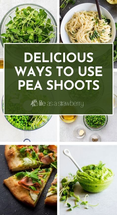 Pea Sprouts Recipes, Pea Sprouts, Pea Microgreens Recipes, Pea Tips Recipe, Fresh Pea Recipes Side Dishes, Pea Recipes Side Dishes, Pea Shoots Recipe, Pea Tendrils Recipe, Pea Tendrils