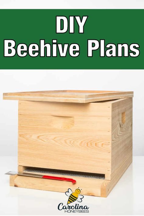 Beehive Plans - DIY Beehives - A selection of free and paid plans to build your own beehive. #carolinahoneybees #beehives #keepingbees Beehive Plans, Diy Beehive, Building A Beehive, Top Bar Bee Hive, Honey Bees Keeping, Bee Hives Diy, Bee Hives Boxes, Langstroth Hive, Bee Hive Plans