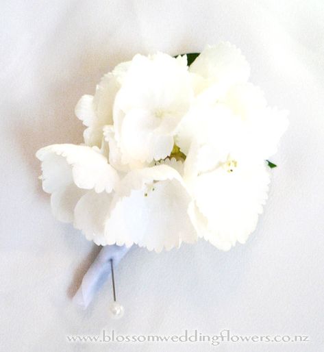 Hydrangea buttonhole - white White Button Holes, Buttonholes Wedding White, Hydrangea Buttonhole, White And Green Buttonholes, White Rose Button Hole, Groomsmen Buttonholes, Button Holes Wedding, Hydrangea Bouquet, White Hydrangea