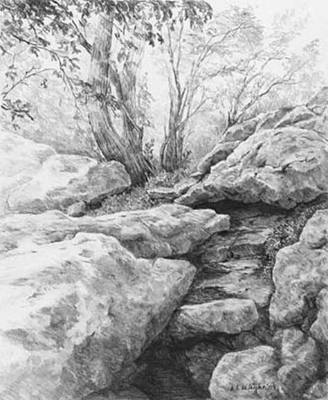 40 Incredible Pencil Drawings of Nature you have never seen before 29 Photo Etching, Draw Scenery, Draw Plants, Rock Drawing, Pencil Drawings Of Nature, Drawing Rocks, Landscape Pencil Drawings, Graphite Art, Draw Realistic