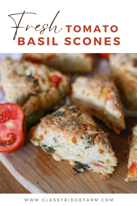 tomato basil scones Tomato Scones, Basil Scones, Tomato Basil Scones, Cheese Scones, Summer Brunch, Savory Scones, Lemon Basil, Tomato Basil, In Season Produce