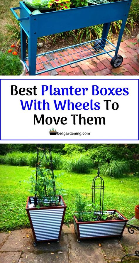 Best planter boxes with wheels to move them. Another tremendous style and portable planter which you can roll easily.  You can easily move it, that’s why you can rotate it so your plants will get even sunlight. Edible plants and flowers will grow well in it. This mobile cart is a great addition to your garden. You can also keep it porch, patio, or balcony. Portable Raised Garden Beds, Portable Garden Beds, Mobile Garden, Small Water Gardens, Herb Garden Planter, Raised Garden Planters, Mobile Cart, Creative Planter, Portable Garden