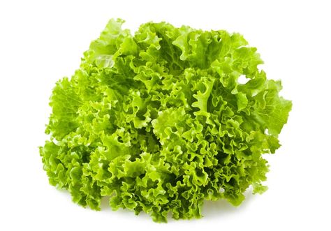 Frisee Lettuce, Teriyaki Chicken Salad, Leaf Lettuce, Gourmet Salad, Tattoo Plant, Lettuce Seeds, Garden Vegetable, Green Hydrangea, Farm Garden