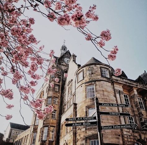 University of Stirling on Instagram: “Stirling in full bloom! 🌸 📸 Stunning picture by @thekiltedcookie #IGStirUni” Stirling University, In Full Bloom, Stirling, Big Ben, University, Travel, On Instagram, Instagram