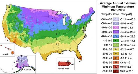 Growing Zones Map, Gardening Zone Map, Planting Zones Map, Garden Zones, Maps Design, Plant Hardiness Zone Map, Vertical Garden Design, Summer Flowers Garden, Plant Zones