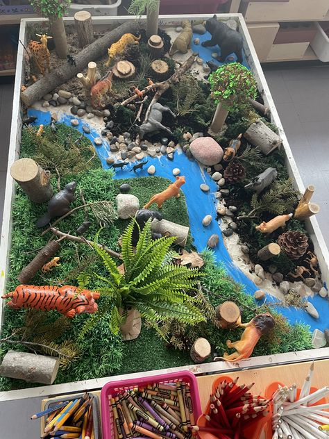 Animal Diarama Ideas, Shoebox Diorama School Projects, Forest Projects For Kids, Jungle Projects For Kids, Dinosaur Habitat, Small World Play Ideas, Dinosaur Diorama, Forest Crafts, Habitats Projects