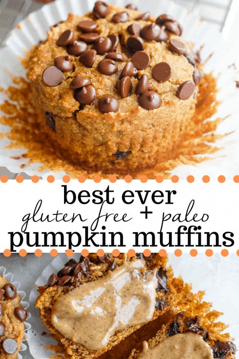 Almond Flour Pumpkin Muffins, Almond Flour Pumpkin, Paleo Pumpkin Muffins, Gluten Free Pumpkin Muffins, Paleo Muffins, Pumpkin Recipes Healthy, Homemade Pumpkin Puree, Paleo Pumpkin, Quiche Lorraine