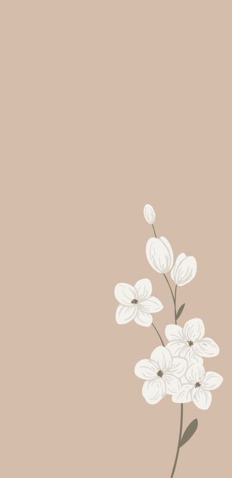 Facial Wallpaper Backgrounds, Creme Color Background Aesthetic, Nude Wallpapers Aesthetic Iphone, Neutral Color Wallpaper Iphone Aesthetic, Neutral Color Wallpaper Iphone, Modern Phone Backgrounds, Cute Plain Wallpaper Iphone, Nude Wallpapers Aesthetic, Neutral Colour Wallpaper Iphone