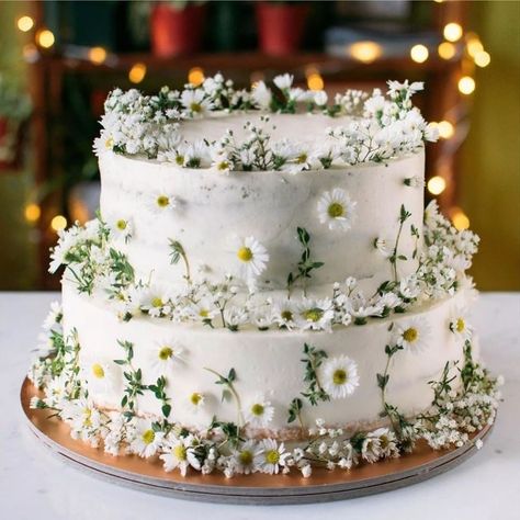 Dreamers & Lovers on Instagram: “Never enough daisies on a cake🤍 . . . . . #weddingcakesideas #bohemianwedding #daisies #cake #weddingcake #bohoweddingcake…” Diy Wedding Food, Summer Wedding Cakes, Brides Cake, Garden Theme Wedding, Daisy Wedding, Tiered Cake, Wedding Cake Rustic, Rustic Wedding Cake, Wedding Flowers Summer