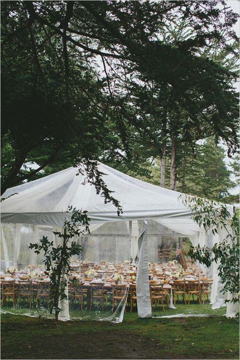 Outdoor Rainy Wedding, Small Wedding Reception Ideas Outdoor, Rainy Backyard Wedding, Small Tent Wedding Reception, Tent Wedding Reception, Rain Wedding, Redwood Wedding, Small Backyard Wedding, Wedding Backyard Reception