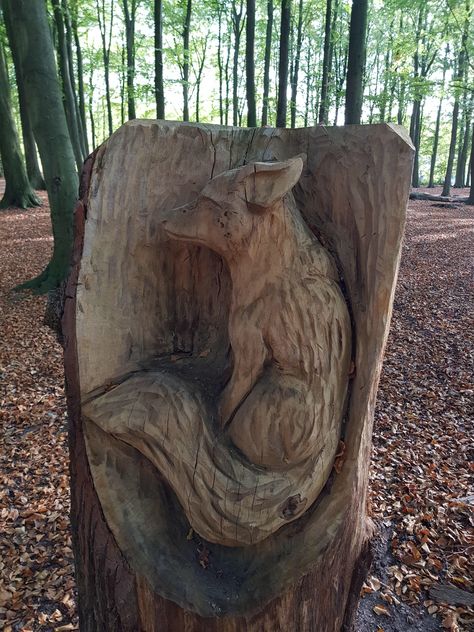 Carved fox in a tree stump Stump Carving, Elmo Toys, Fantastic Fox, Something Wild, Ancient Languages, Everyday People, Tree Carving, Chainsaw Carving, Tree Stump