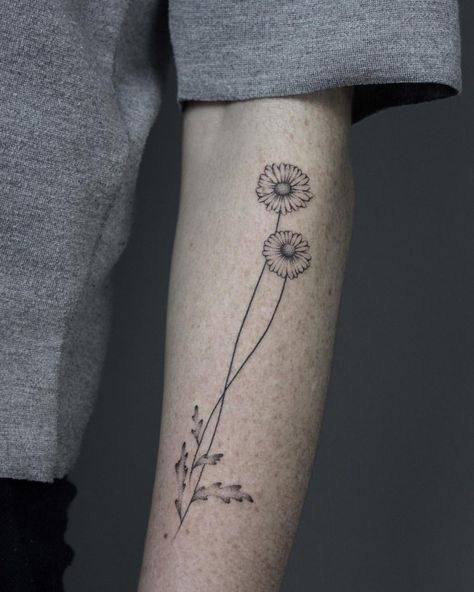 See this Instagram photo by @laramaju • 983 likes Daisy Tattoo Men, Daisy Flower Tattoo, Daisy Tattoo Meaning, Larkspur Flower Tattoos, Daffodil Flower Tattoos, Narcissus Flower Tattoos, Small Daisy Tattoo, Aster Flower Tattoos, Heart Flower Tattoo