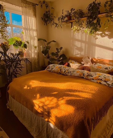 Decor | bohemain | Boho (@mybohodecor) • Instagram photos and videos Hufflepuff Room Decor, Hufflepuff Bedroom, Wall Decor Plants, Street Bedroom, Cottagecore Bedroom, Farmhouse Room, Velvet Living Room, Bohemian Soul, Farmhouse Living Room