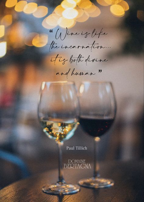 #wine #redwine #winequote #quotes #pinotnoir #winelover #quoteoftheday #quotestoliveby #quotesaboutlife #sayings #fine #whitewine #red #white Paul Tillich, Wine Tips, Wine Education, Wine Quotes, Wine Pairing, Pinot Noir, Wine Lovers, White Wine, Red Wine