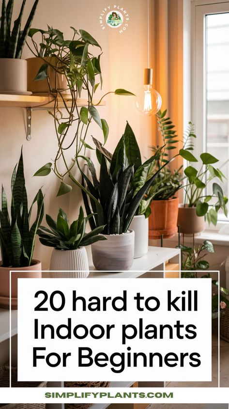 "Discover 20 hard to kill indoor plants perfect for beginners! This guide features beginner-friendly houseplants that are low maintenance and resilient, making them ideal for any home. Explore durable houseplants and tough indoor plants that thrive with minimal care. From robust houseplants to easy to care for indoor plants, find the perfect indoor plants for beginners. These hardy houseplants for beginners are not only sturdy but also enhance your living space!" How To Care For Indoor Plants, Common Indoor Plants, Easy Indoor Plants For Beginners, Beginner Plants Indoor, House Plant Tips, Indoor Small Plants, Houseplant Hacks, Easy Plants To Grow Indoors, Best Indoor Plants For Beginners