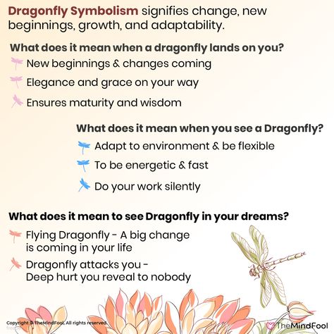 Dragonfly meaning symbolizes light and change. It is a spirit animal that is said to arrive from the realms of spirits, fairies, and magical beings. The Dragonfly symbolism is used to indicate personal transformation and the ability to learn and adapt in life. It is a gentle reminder that the world is full of possibilities. #DragonflyMeaning #DragonflySymbolism #DragonflyMeaningandSymbolism #spirituality #spiritual #meditation #spiritualawakening #peace #healing #life #god #wisdom #mindfulness Dragon Fly Symbolism, Dragonfly Significance, Dragonfly Spirit Animal, Dragon Fly Spiritual Meaning, Seeing Dragonflies Meaning, Meditation Signs, Dragonfly Tattoo Meaning, Dragonfly Meaning Spiritual, Dragonfly Spiritual