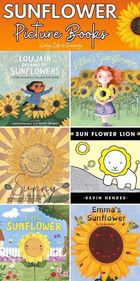 With these Sunflower Picture Books, children will not only learn about the life cycle of sunflowers but also develop a deeper appreciation for nature's beauty and the importance of nurturing plants and the environment. Add these to your collection of the best homeschool spring books for kids! Book Scavenger Hunt, Sunflower Paper Craft, Sunflower Life Cycle, Cycle For Kids, Harvest Festivals, Fall Books, Planting For Kids, Sunflower Throw Pillows, Spring Books